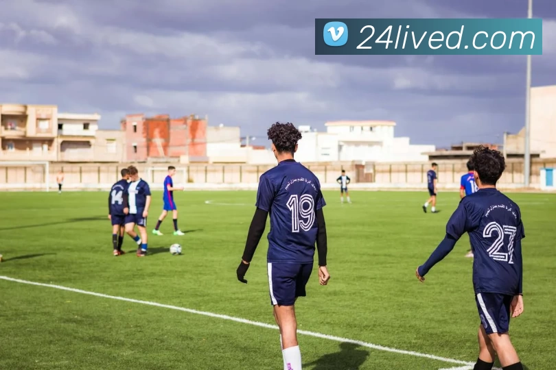 24直播官网平台生态图